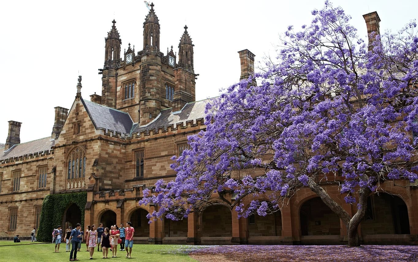 Photograph of The University of Sydney quadrangle